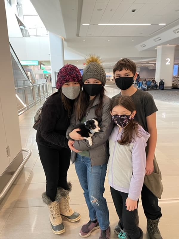 Customer photo of Miniature Australian Shepherd puppy from Junko K.