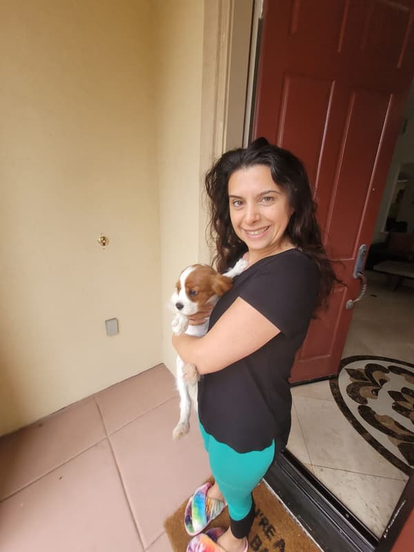 Customer photo of Cavalier King Charles Spaniel puppy from Melissa D.