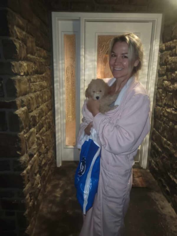 Customer photo of Dachshund, Mini puppy from Penelope S.