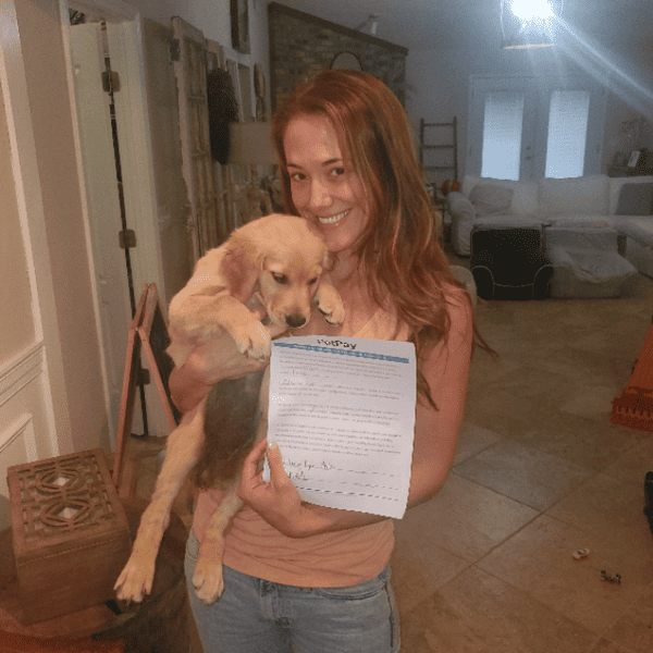 Customer photo of Golden Retriever puppy from Catherine D.