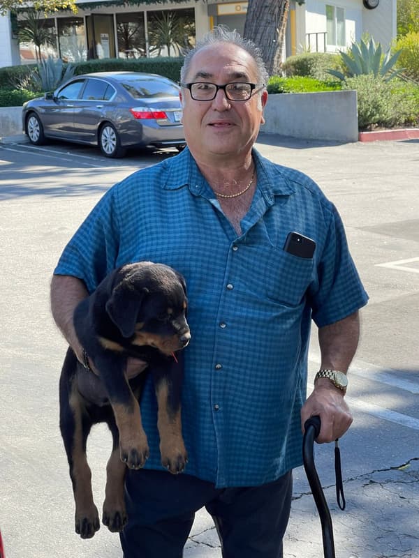 Customer photo of Rottweiler puppy from Peter Q.