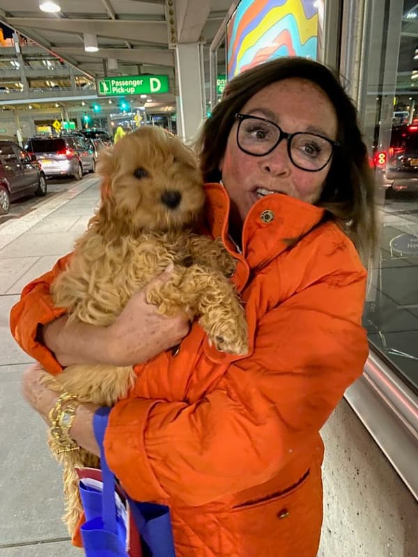 Customer photo of Cockapoo puppy from Anne M.