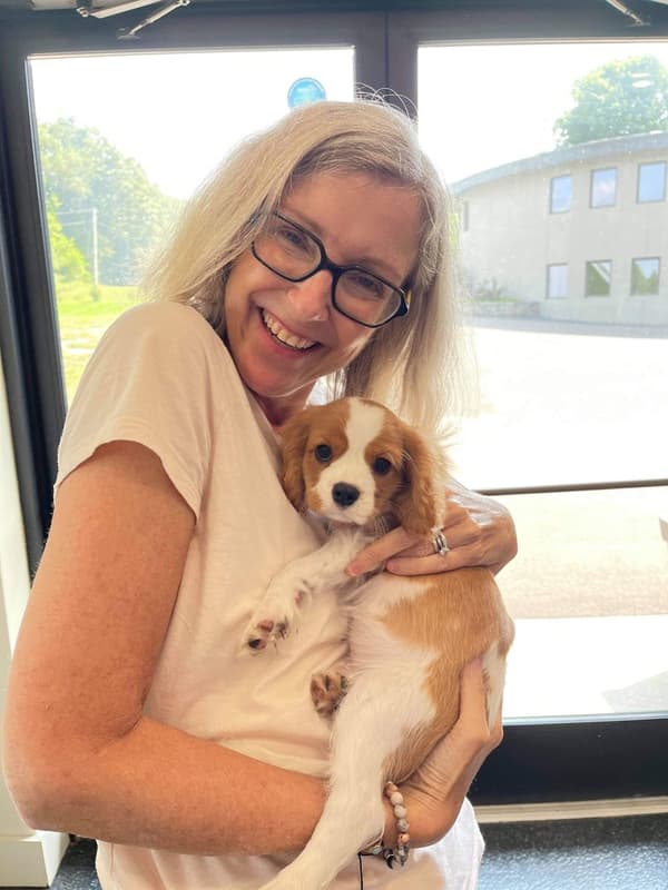 Customer photo of Cavalier King Charles Spaniel puppy from Julie S.