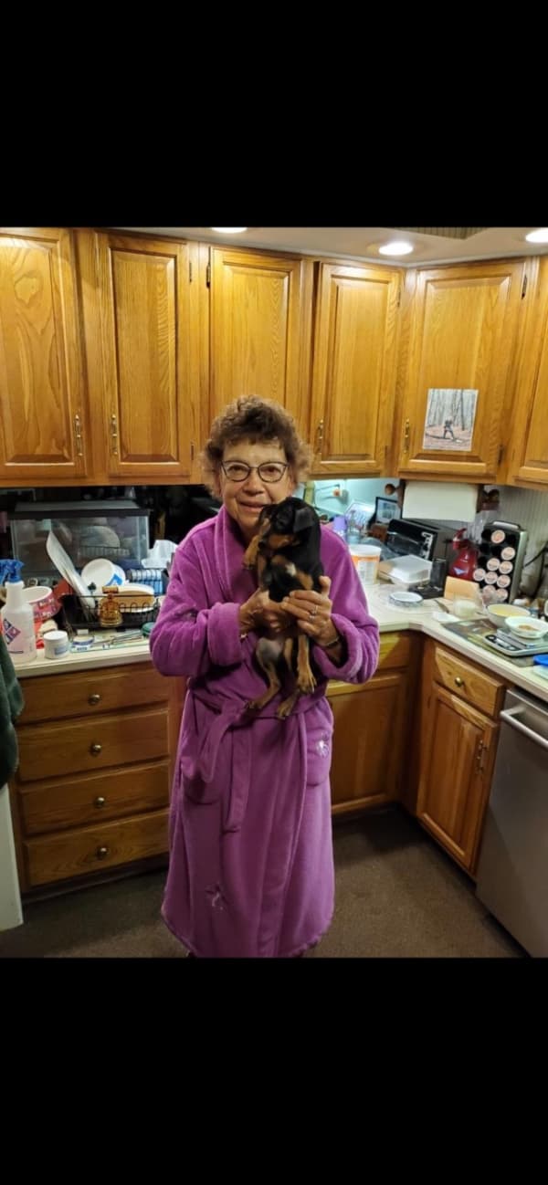 Customer photo of Miniature Pinscher puppy from Doug B.