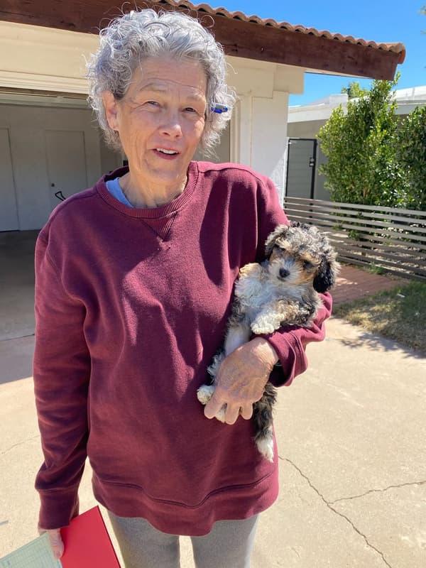 Customer photo of Bernedoodle, Mini puppy from Elaine M.