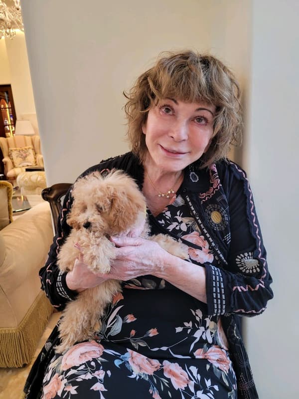 Customer photo of Poodle, Toy puppy from Dorothy B.