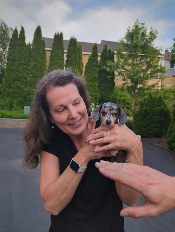 Customer photo of Dachshund, Mini puppy from Melissa K.