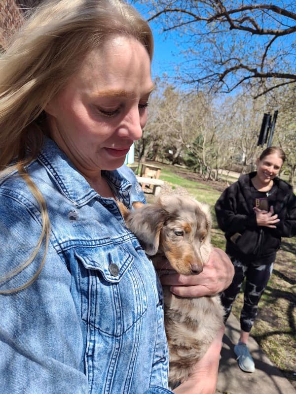 Customer photo of Dachshund, Mini puppy from Jennifer J.