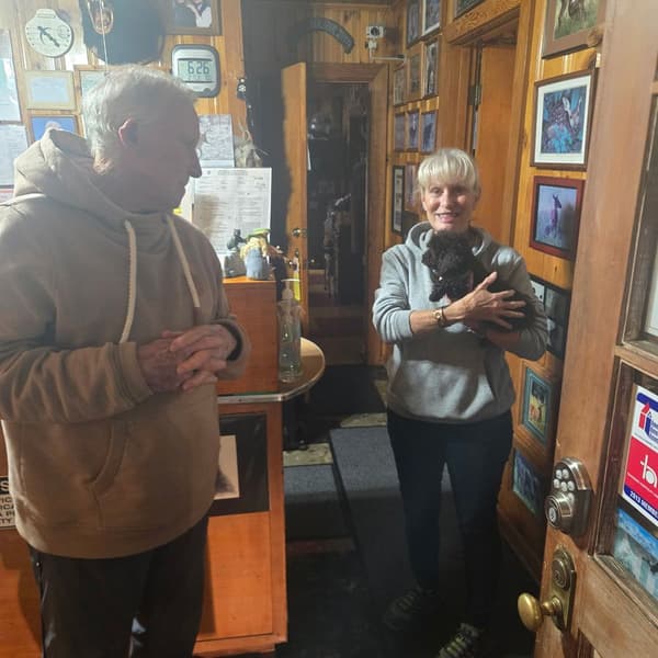 Customer photo of Poodle, Miniature puppy from Sharron S.