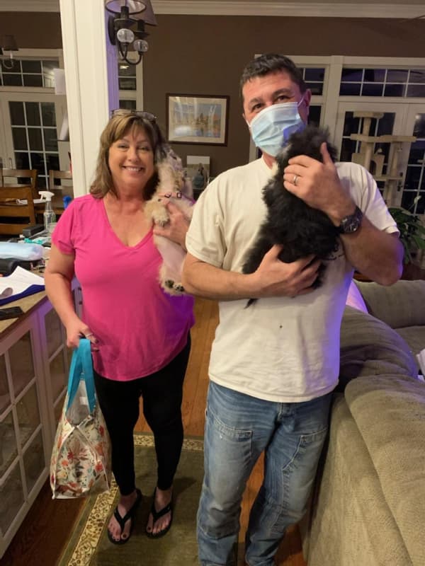 Customer photo of Cockachon puppy from Kelly M.