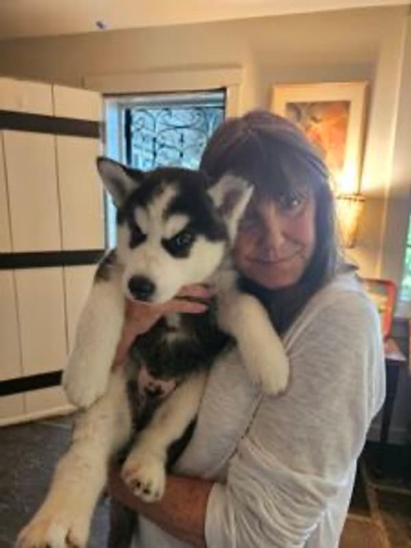 Customer photo of Siberian Husky puppy from Christina B.