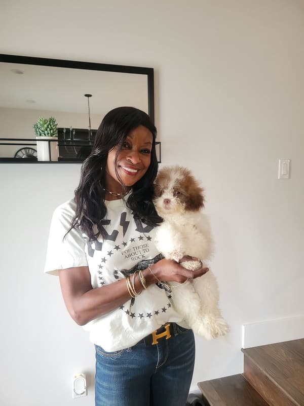 Customer photo of Shih-Poo - Shihpoo puppy from Alana M.