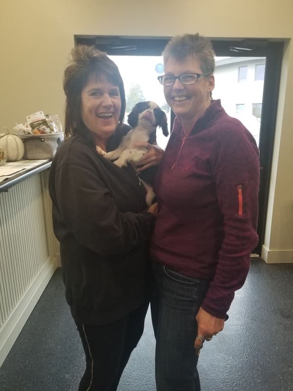 Customer photo of Cavalier King Charles Spaniel puppy from Cassandra L.