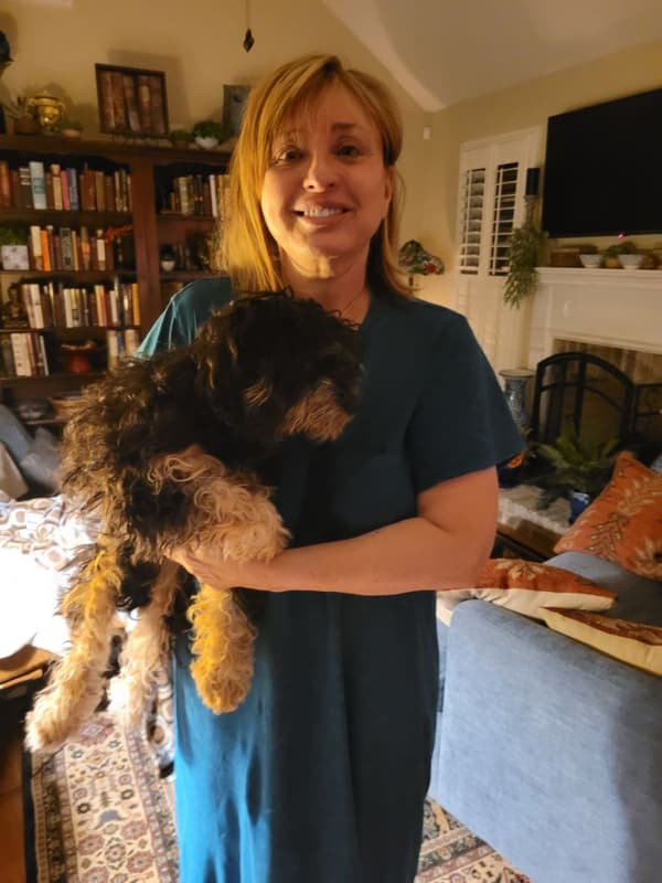 Customer photo of Cavapoo puppy from Susan H.