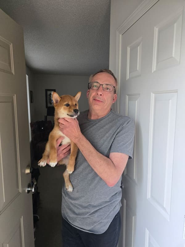 Customer photo of Shiba Inu puppy from Steven B.