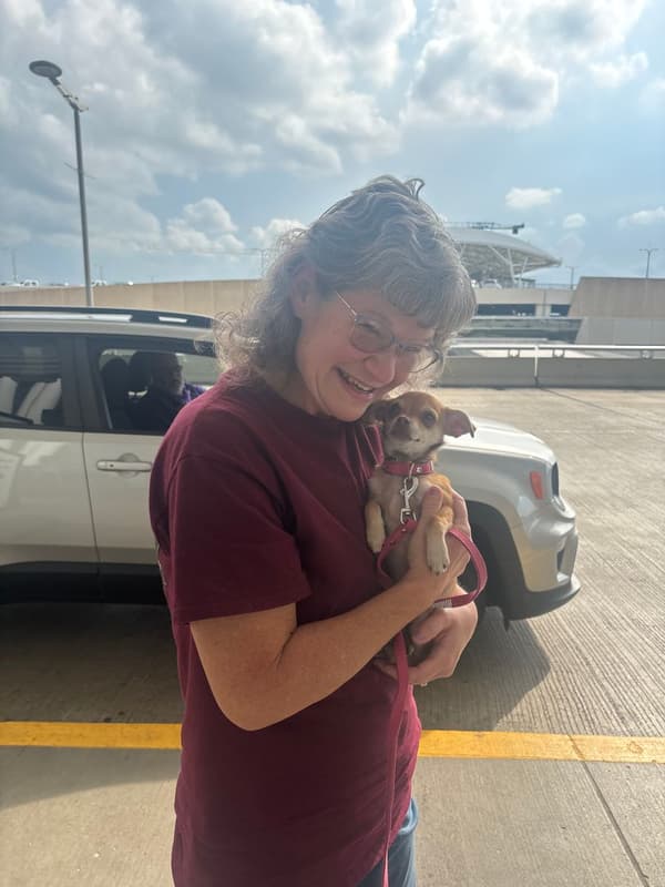 Customer photo of Chihuahua puppy from Melissa B.