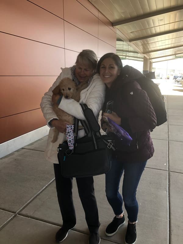 Customer photo of Labradoodle puppy from Roberta S.