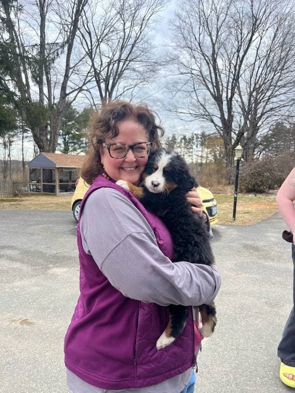Customer photo of Bernese Mountain Dog puppy from Crista L.
