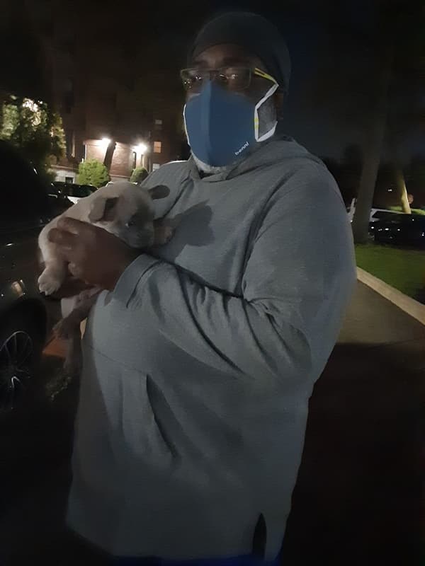 Customer photo of French Bulldog puppy from Shaun P.