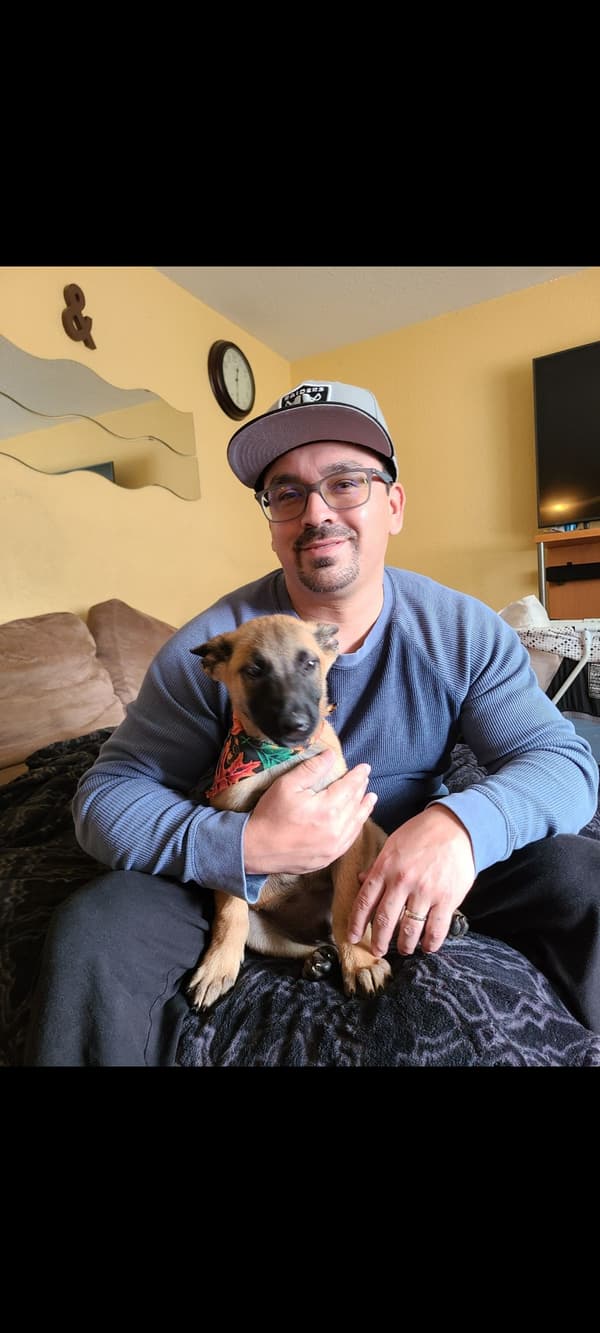 Customer photo of Belgian Malinois puppy from John L. 