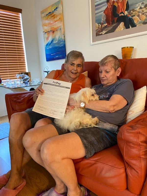 Customer photo of Morkie / Yorktese puppy from Rose K.