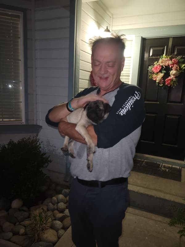 Customer photo of Pug puppy from Donald M.