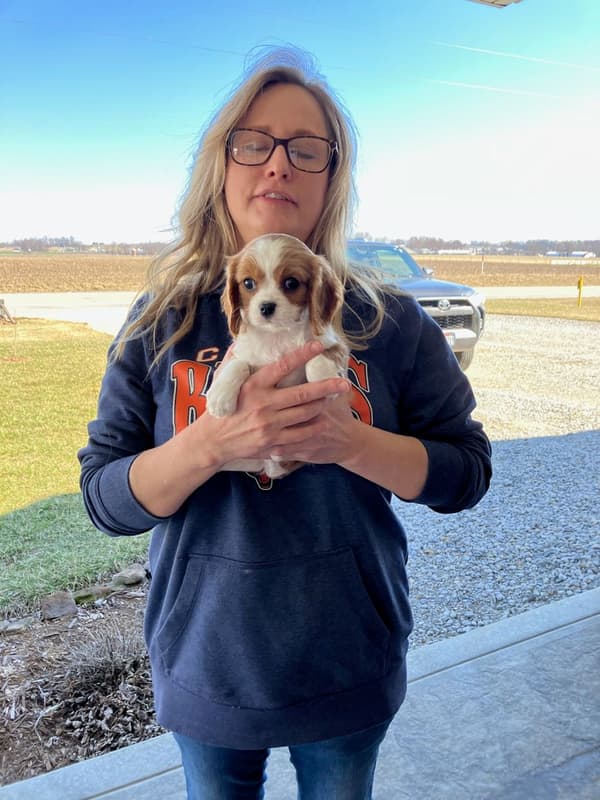 Customer photo of Cavalier King Charles Spaniel puppy from Angie K.