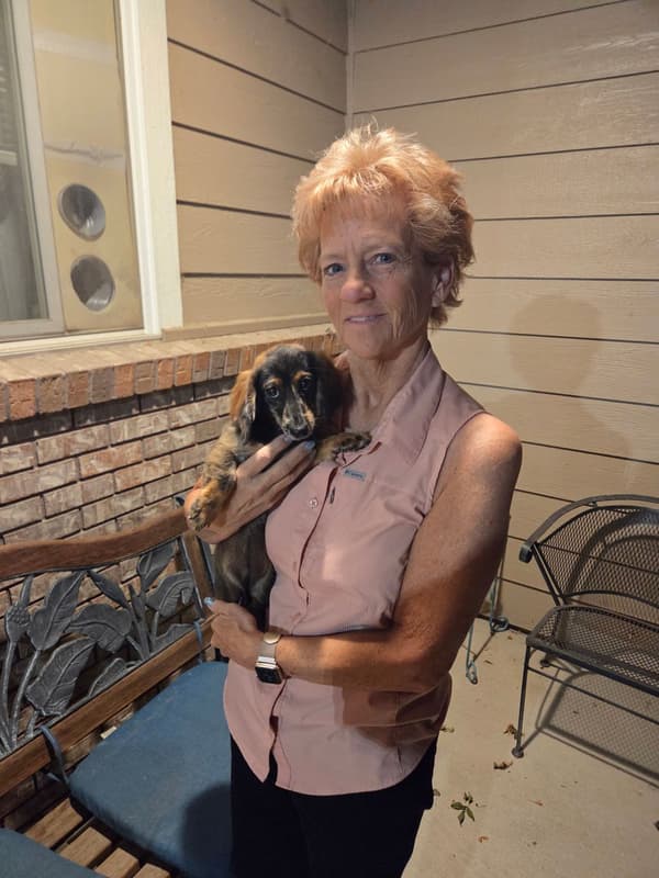 Olivia the Mini Dachshund in Colorado