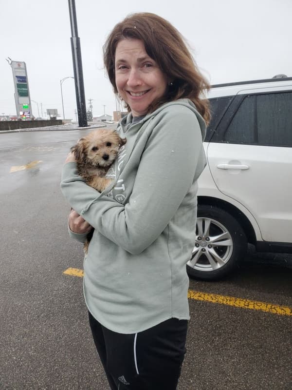 Customer photo of Yorkiechon puppy from Beverly Q.