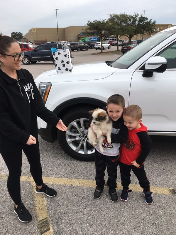 Customer photo of Pomsky puppy from Courtney M.