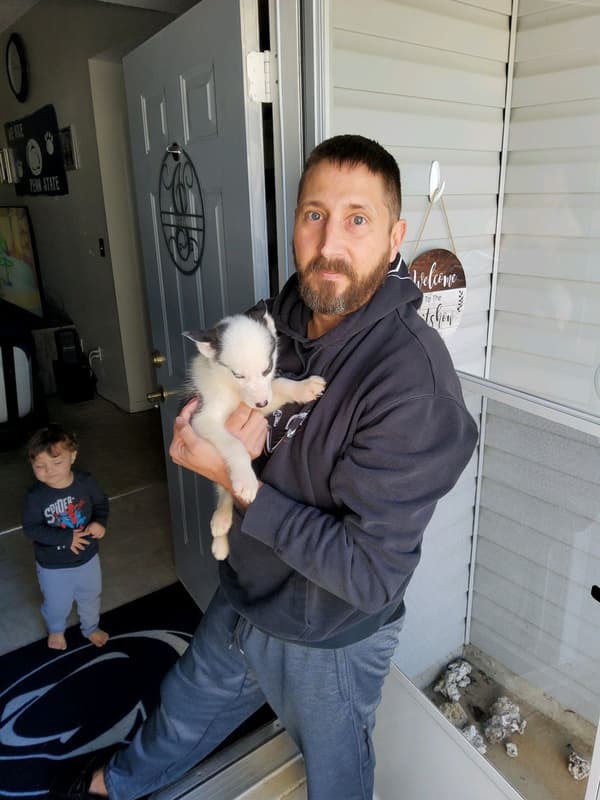 Customer photo of Siberian Husky puppy from Dwayne I.