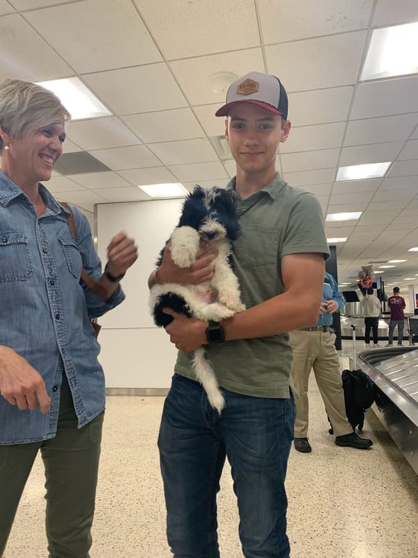 Customer photo of Labradoodle puppy from Sasha K.