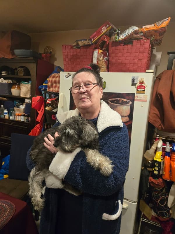 Customer photo of Schnauzer, Miniature puppy from Lawrence K.