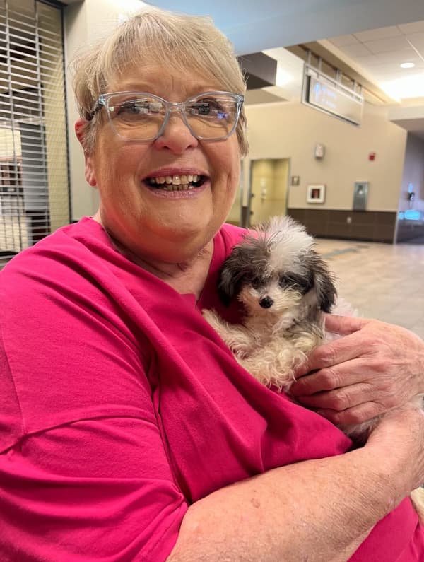 Customer photo of Malti Poo - Maltipoo puppy from Lynn N.