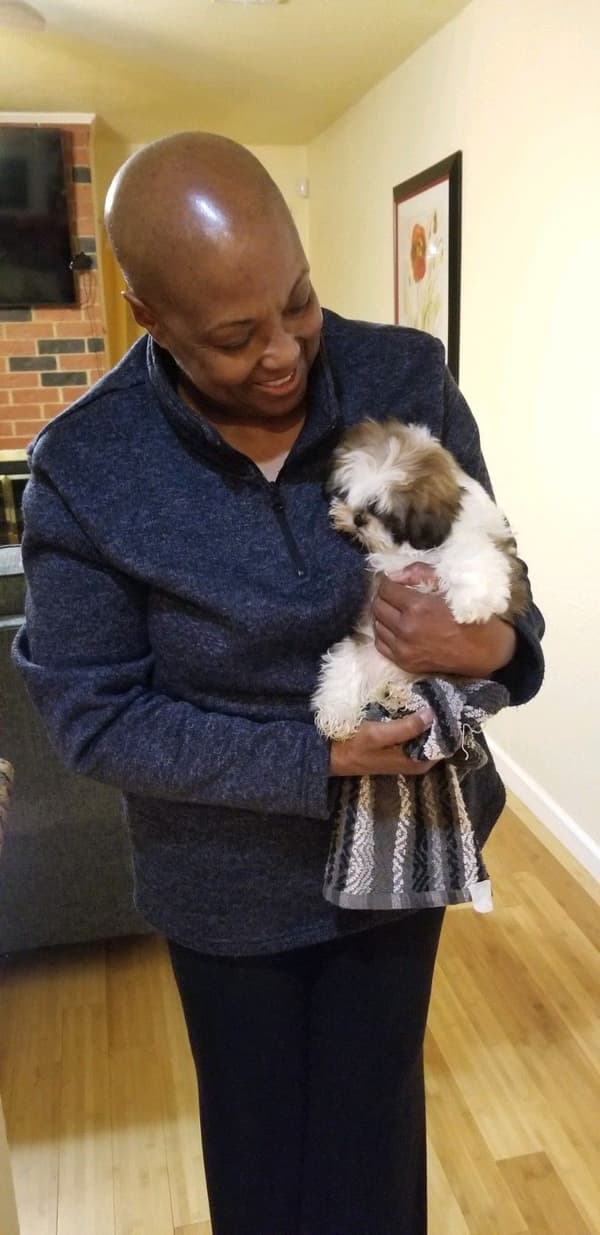 Customer photo of Shih Tzu puppy from Linda H.