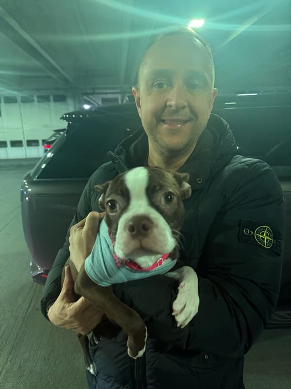 Customer photo of Boston Terrier puppy from Pavel Z.