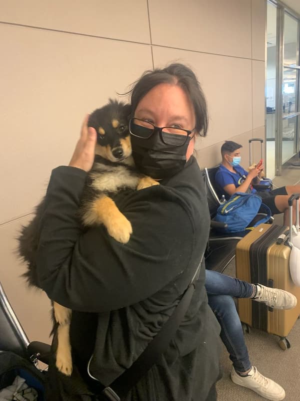 Customer photo of Pomsky puppy from Chris D.