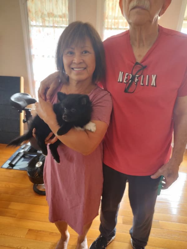 Customer photo of Pomeranian puppy from Edmund V.