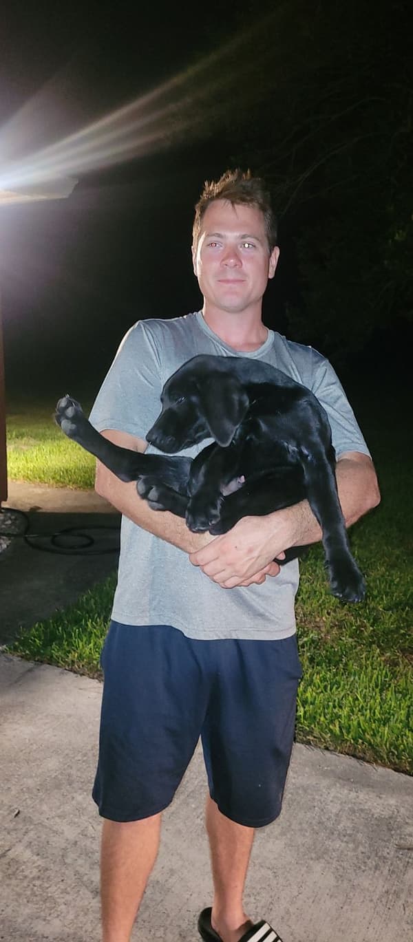 Customer photo of Labrador Retriever puppy from Mike C.