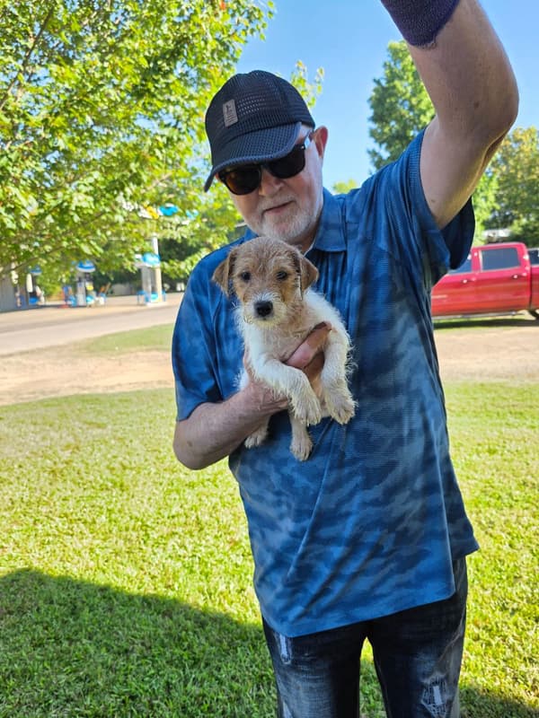 Customer photo of Jack Russell Terrier puppy from Daniel E.