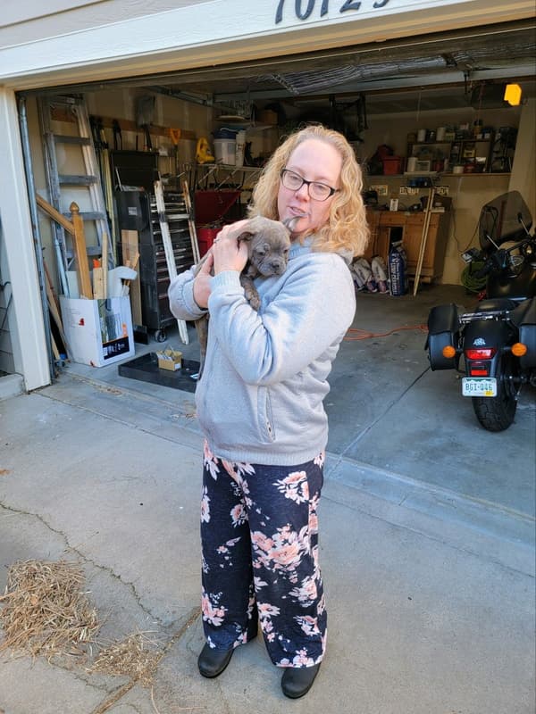 Customer photo of Frenchton puppy from Keri B.