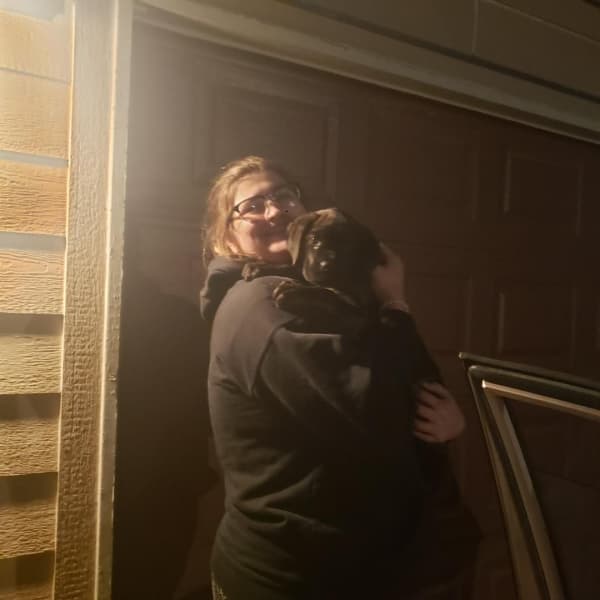 Customer photo of Cane Corso Mastiff puppy from Chloe W.