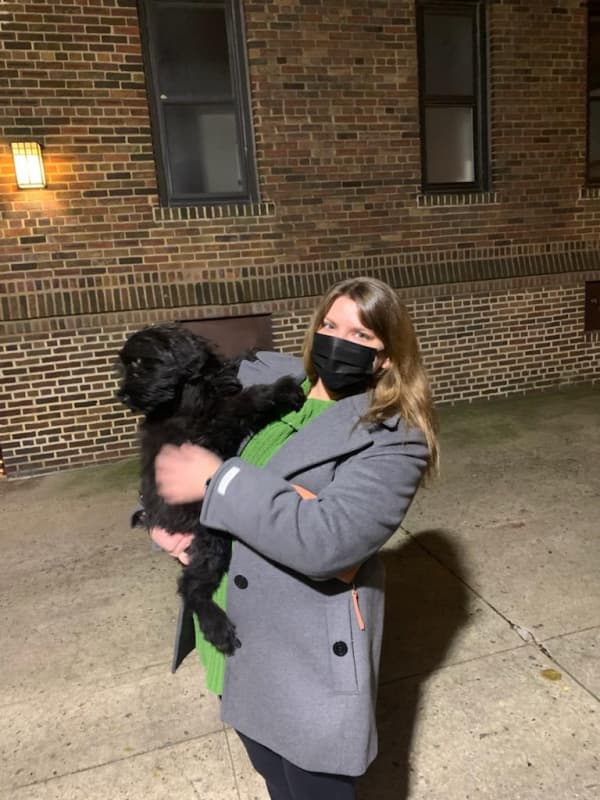 Customer photo of Whoodle puppy from Bernadette R.