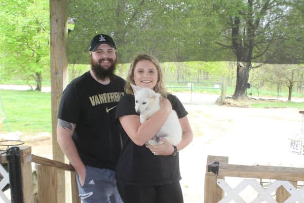 Customer photo of German Shepherd puppy from Abby B.