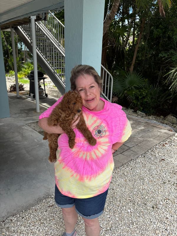Customer photo of Goldendoodle, Mini puppy from Deborah G.