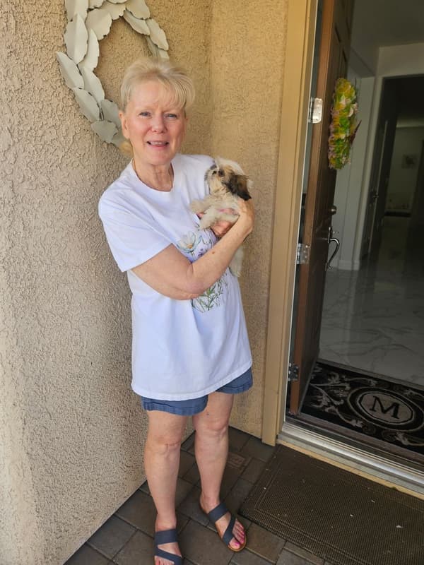 Customer photo of Shih Tzu puppy from Sharon M.