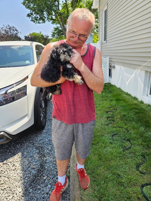 Customer photo of Malti Poo - Maltipoo puppy from David K.