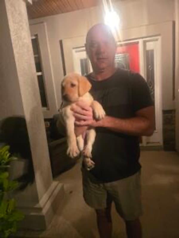 Customer photo of Labrador Retriever puppy from Michael B.