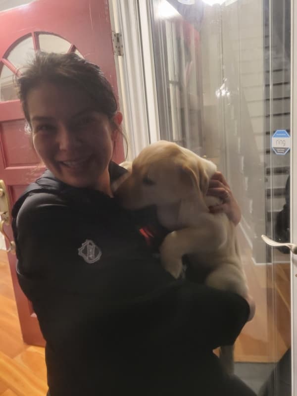 Customer photo of Labrador Retriever puppy from Joseph G.