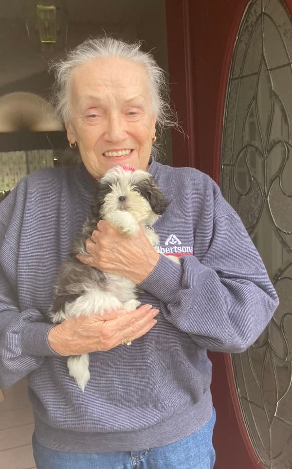 Customer photo of Shih Tzu puppy from Leah H.